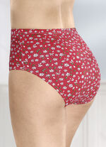 Viererpack Slips mit Blumenmotiv 