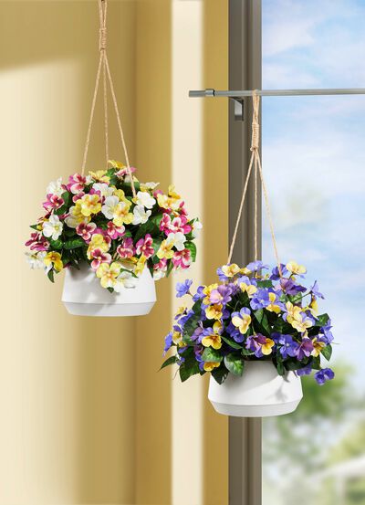 Stiefm&uuml;tterchen in H&auml;ngeampel 