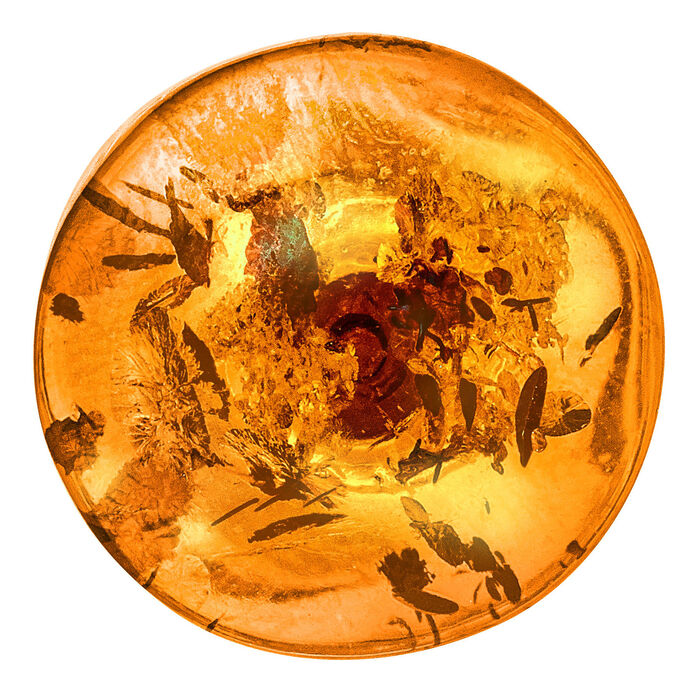 Unikate: Ohrstecker mit echtem, cognacfarbenem Bernstein 