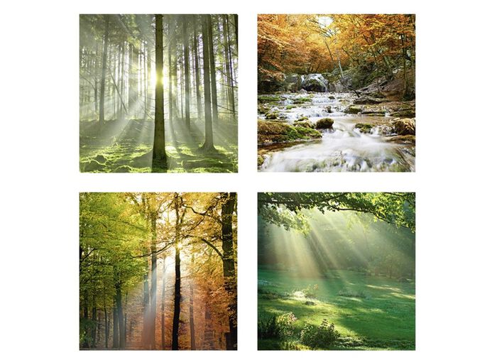 Bilder-Set, 4-teilig, mit Waldmotiven 