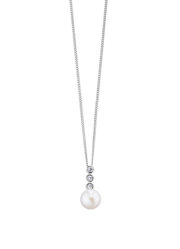 Anh&auml;nger mit Panzerkette 