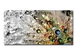 Bild «Farbenfrohe Natur» 