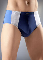 Mehrfachpack Slips mit seitlichen Eins&auml;tzen 