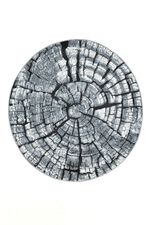 Teppich im naturnahen Baumstamm-Design 