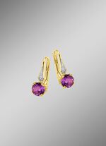 Glamour&ouml;se Ohrringe  