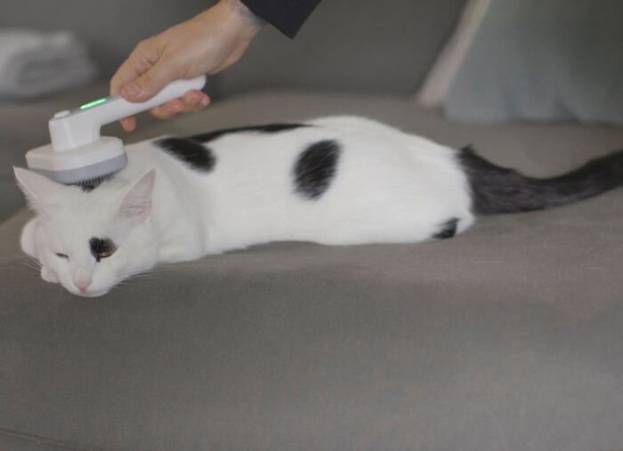 &laquo;PiddiPet IonBrush&raquo; Tierhaarb&uuml;rste i 