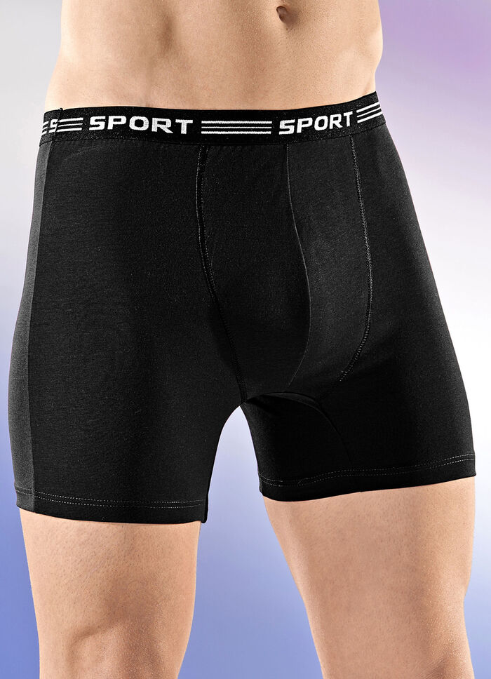 Viererpack Pants aus Feinjersey, uni bunt 