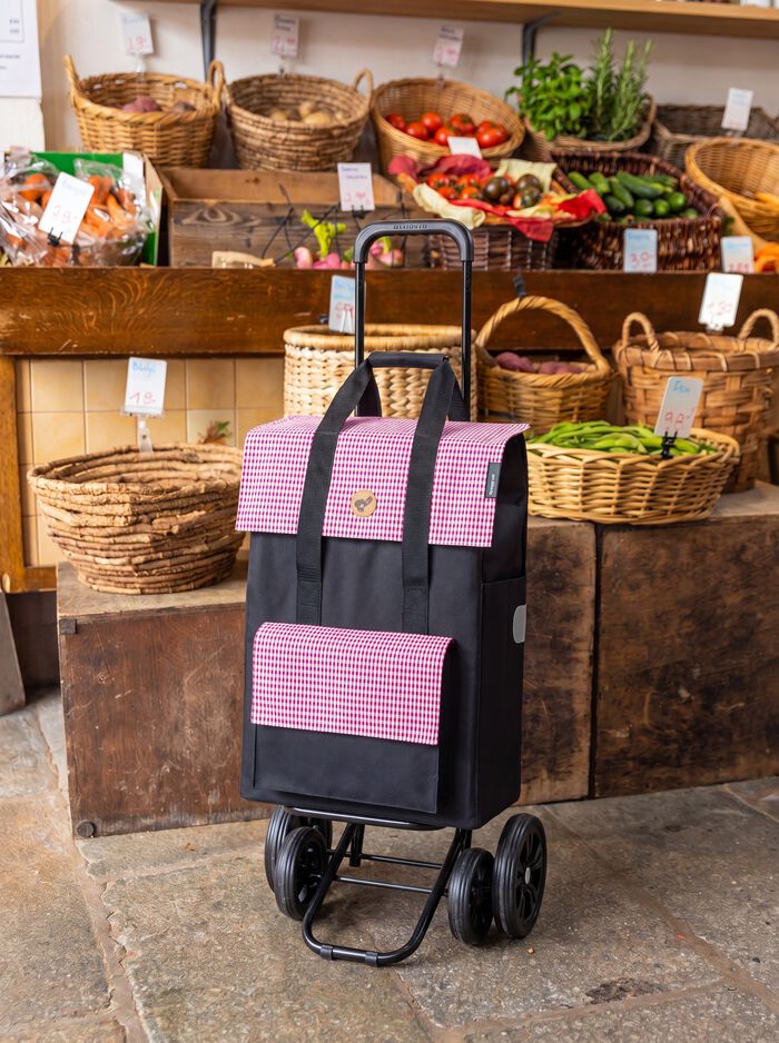 Einkaufsroller Quattro Shopper Milla 